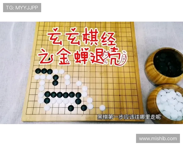 倒计时 4 天 围棋第一步的胜负密码:高手如何开局定乾坤? 倒计时 4 天 围棋第一步的胜负密码:高手如何开局定乾坤?