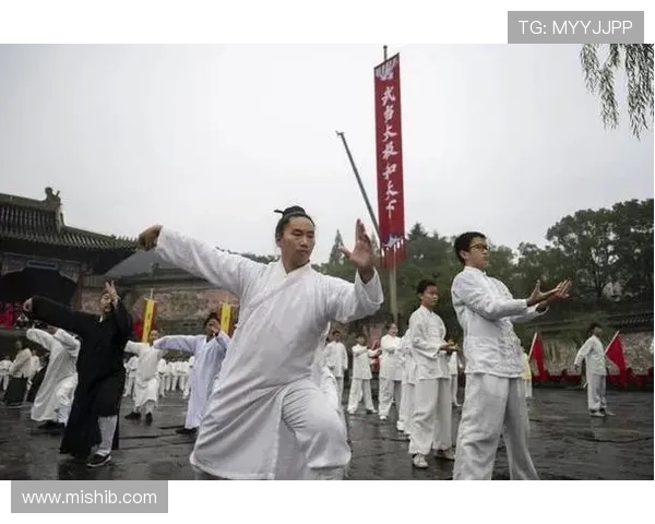 十堰武当太极健身热:一招一式皆惠民 十堰武当太极健身热:一招一式皆惠民